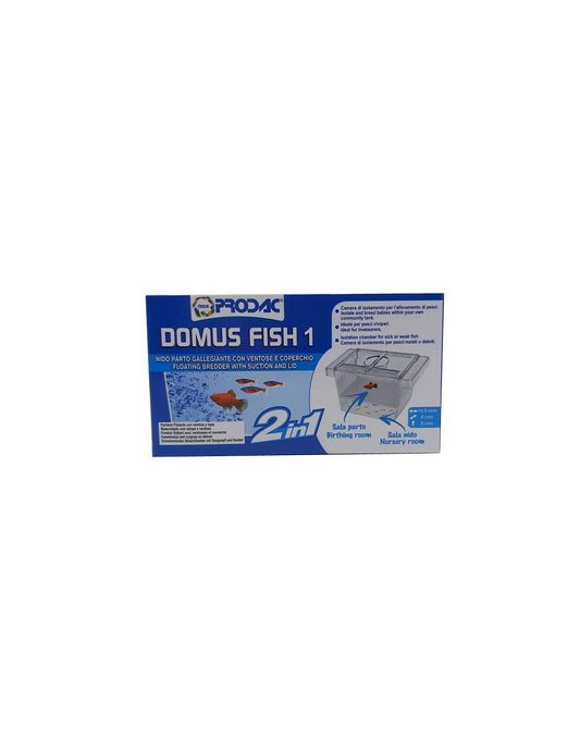 Domus fish 1
