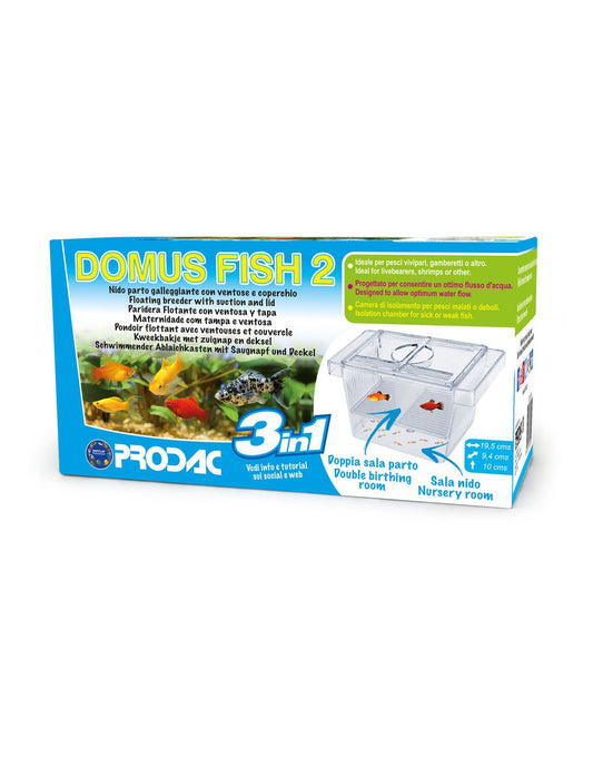 Domus fish 2